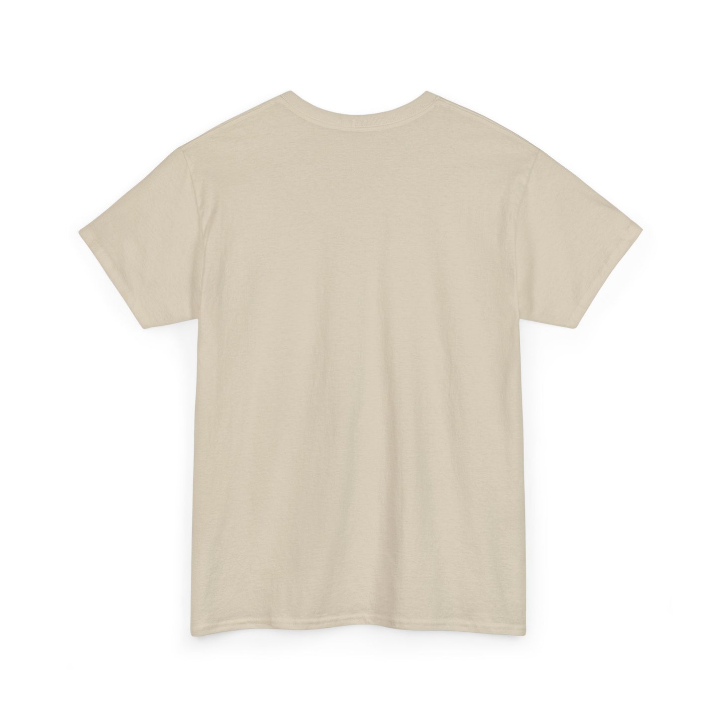 Unisex Heavy Cotton Tee RN Southern Flair